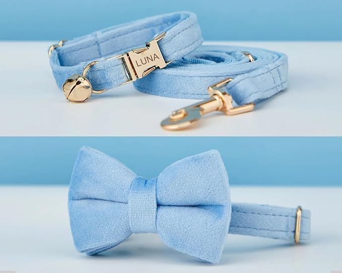 Personalized Cat Collar with Engraved Buckle – Custom Adjustable Kitten Collar with Bell, Choose Buckle Color or Breakaway Safety Design (Velvet)