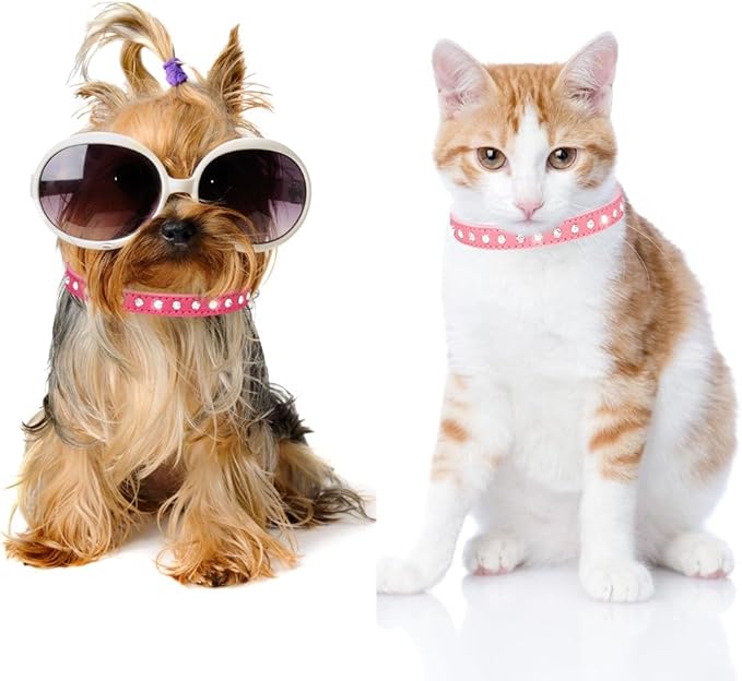 Puppy Dog Collar with Crystal Diamond Colorful Bling Girl Puppy Cat Collars Black XS