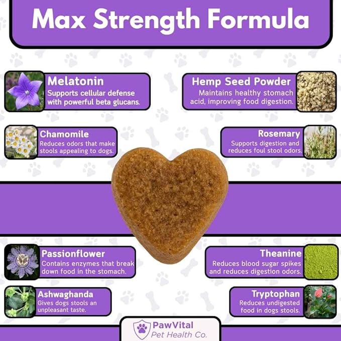 Melatonin Calming Chews for Dogs – Natural Sleep Aid & Anxiety Relief – Dog Calming Treats with Chamomile, Valerian Root, Ashwagandha & Theanine – 90 Soft Chews for Small & Large Breeds