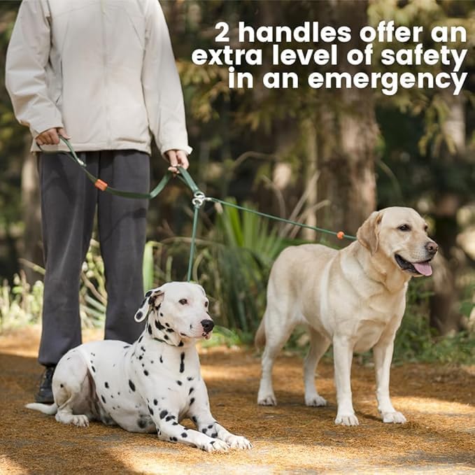 Howgo Double Slip Leash Slip Lead with Two Handles| Dual Dog Slip Lead for 2 Dogs,360° Swivel No Tangle | Dog Training Collar | Double Clip Leash Coupler and Splitter (Orange, 6FT)