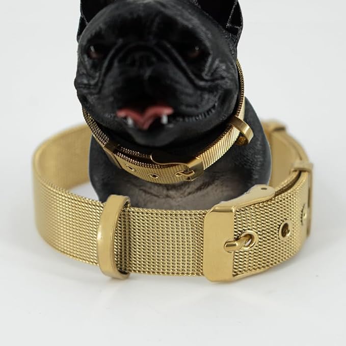 Stainless Steel Big 18K Gold Adjustable Breathable Belt Pet Collar Dog Cat Kitten Waterproof S/M/L 14mm Woven Tape Slip Durable Stainless Steel Choker