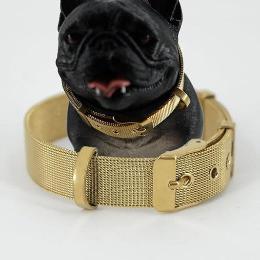 Stainless Steel Big 18K Gold Adjustable Breathable Belt Pet Collar Dog Cat Kitten Waterproof S/M/L 14mm Woven Tape Slip Durable Stainless Steel Choker