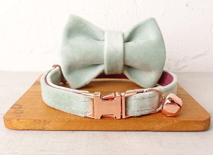 Cat Collar Personalized with Name Engraved and Bell, Customized Velvet Collars for Puppy Kittens (Mint Green, L)