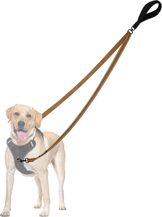 PetBonus Two Point Control Dog Leash, Works with No Pull Harnesses, No Tangle Dog Training Leashes, No Pull Padded and Reflective Walking Lead, Converts to Single Leash for Medium Large Dogs (Brown)
