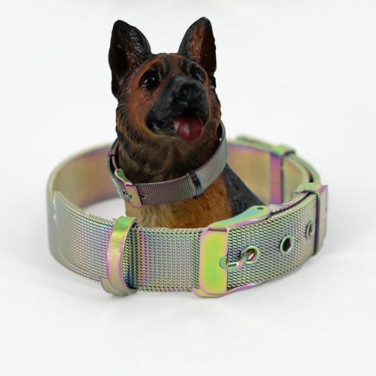 Stainless Steel Big Rainbow Adjustable Breathable Belt Pet Collar Dog Cat Kitten Waterproof S/M/L 14mm Woven Tape Slip Durable Stainless Steel Choker