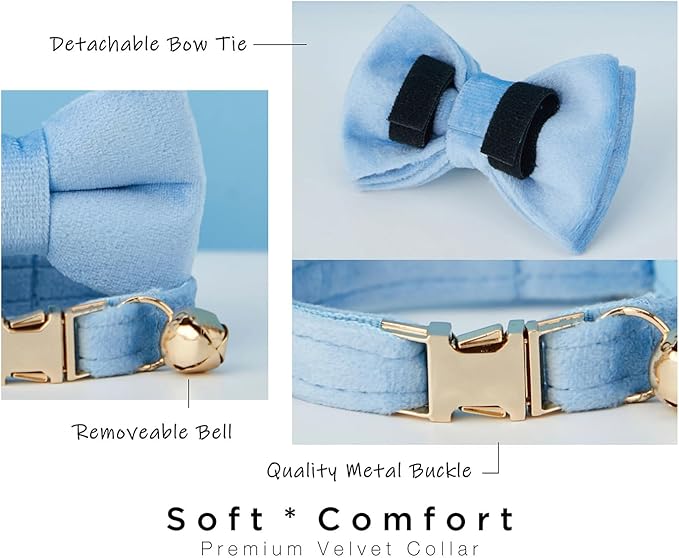 Personalized Cat Collar with Engraved Buckle – Custom Adjustable Kitten Collar with Bell, Choose Buckle Color or Breakaway Safety Design (Velvet)