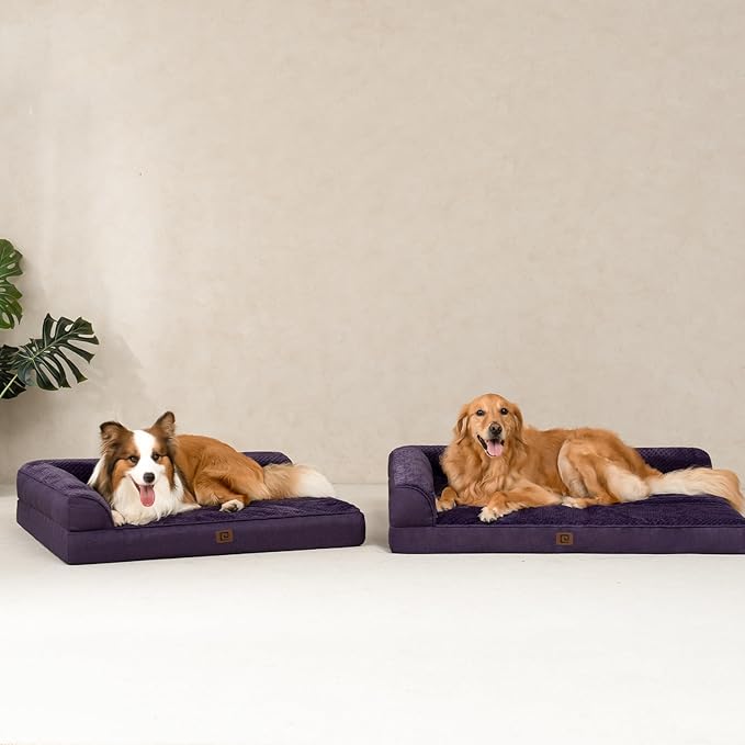 EHEYCIGA Memory Foam Dog Bed XLarge Sized Dogs, Extra Large Dog Bed Orthopedic with Washable Removable Cover, Waterproof XL Pet Bed Couch, 44x33x6 Inches, Purple