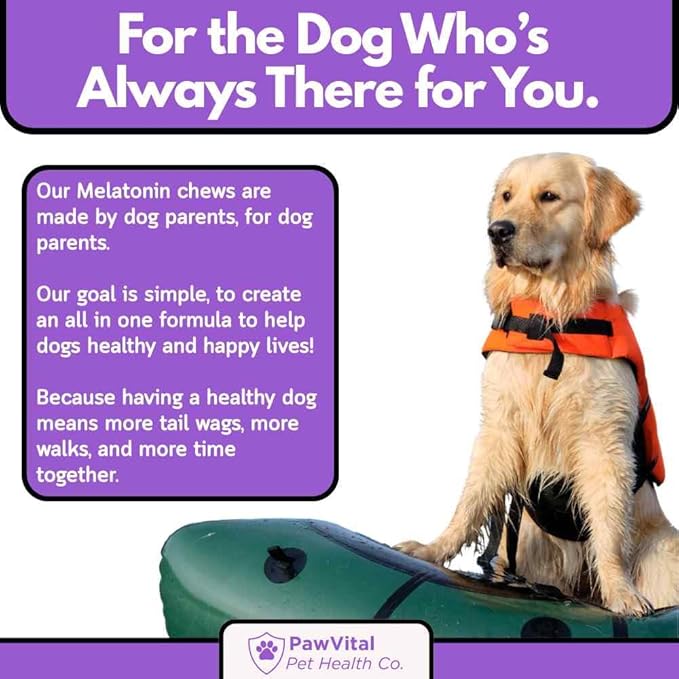 Melatonin Calming Chews for Dogs – Natural Sleep Aid & Anxiety Relief – Dog Calming Treats with Chamomile, Valerian Root, Ashwagandha & Theanine – 90 Soft Chews for Small & Large Breeds