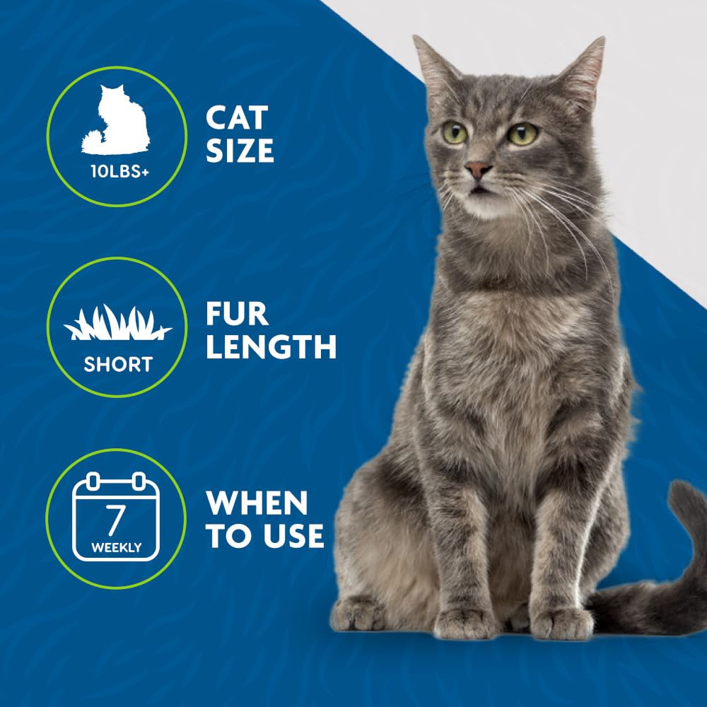 FURminator deShedding Tool For Medium/Large Cats, Short Hair, Removes Loose Hair From Shedding