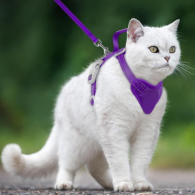 Cat Harness and Leash Set Escape Proof for Kitten Walking, Soft Adjustable Top Handle Vest Harnesses for Cats, Easy Control Breathable Reflective Small Medium Large, Purple, M