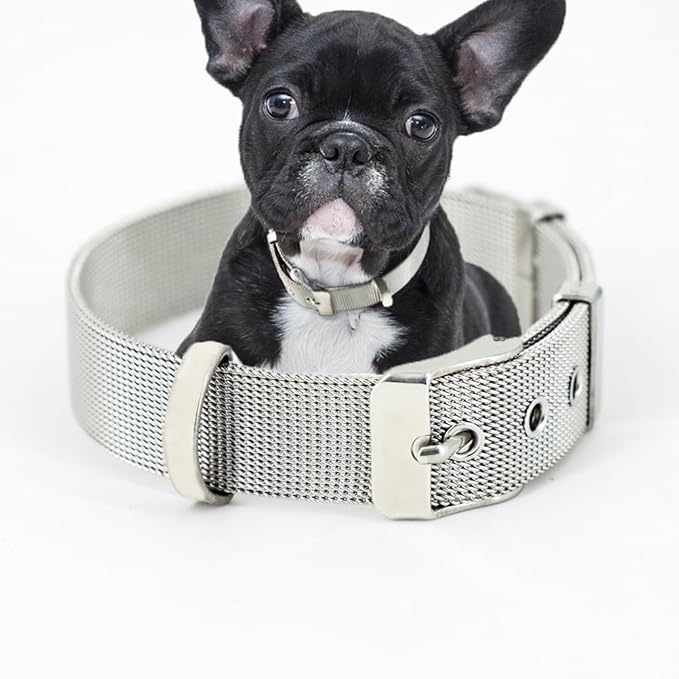Big Adjustable Stainless Steel Breathable Belt Pet Collar Dog Cat Kitten Imitation Woven Tape Slip Durable Small Choker