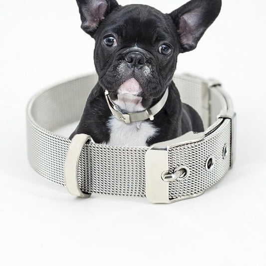 Big Adjustable Stainless Steel Breathable Belt Pet Collar Dog Cat Kitten Imitation Woven Tape Slip Durable Small Choker
