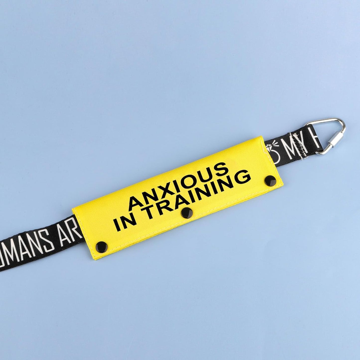 Funny Dog Leash Sleeve Have Anxious in Training Dog Leash Wrap Sleeve Pet Birthday Gift (Anxious in Training-YE Sleeve)