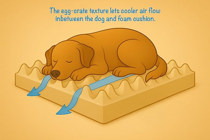 Furry's Paradise Foam Cuddler Pet Bed with Waterproof Liners, Reversible Cushion, Washable Cover, Recycled Fibers and Non-Slip Bottom. (Brown Marble, Orthopedic Large)