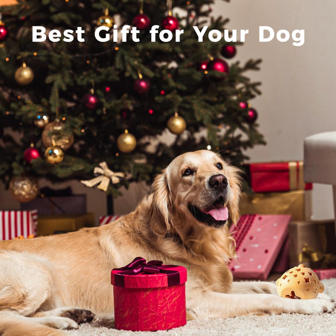 MewaJump Treat Dispenser Dog Toy Puzzle Rubber Chew Toys Treat Food Dispensing Toys for Teeth Cleaning Ball Interactive Enrichment Toys for Puppy, Small, Medium, Large Breeds - Not for Heavy Chewer