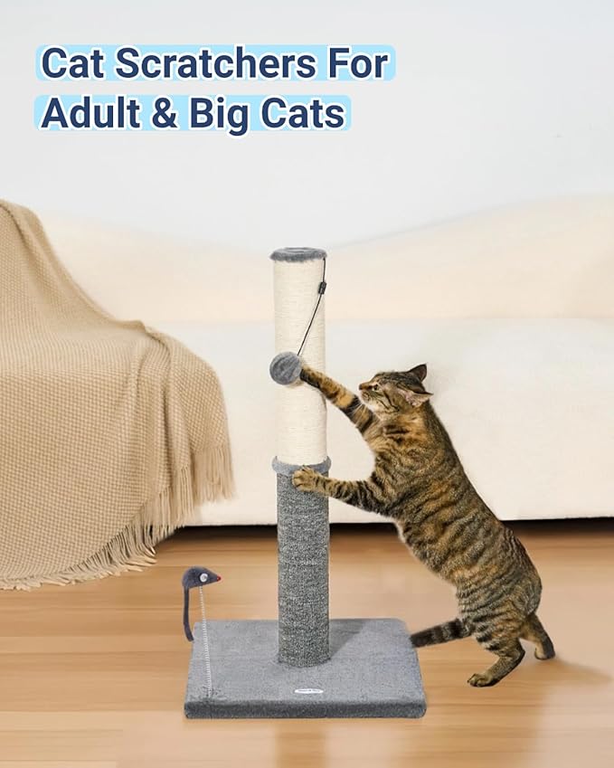Happi N Pets 29.5" Tall Cat Scratching Post, Cat Scratchers for Indoor Cats, Sisal Scratch Post & Carpet Post in One, Stable Cat Scratch Post with Two Toys, Extra Free Toy, Light Gray