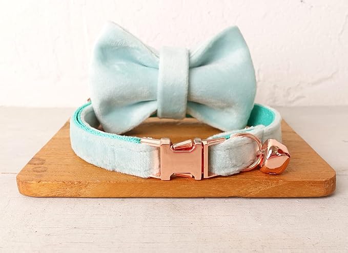 Cat Collar Personalized with Name Engraved and Bell, Customized Velvet Collars for Puppy Kittens (Aqua, L)