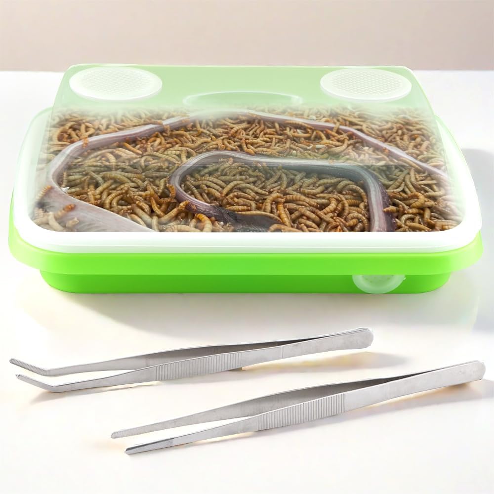 1 Pack Mealworms Breeding Kit Mealworms Keeper with 2 Pcs Insect Stainless Steel Tweezers to Breed Live Worms for Reptile Bearded Dragon Leopard Gecko Lizard Frog Bird Chicken