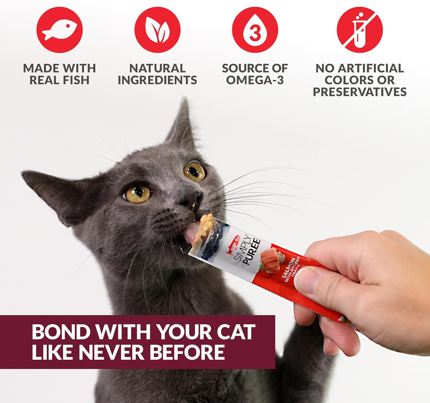 Simply Puree Salmon with Ancient Grains Tub for Cats | 48 Individual Servings | High-Protein, Grain-Enriched Cat Treat | All-Natural, No Artificial Additives | Smooth and Delicious Puree