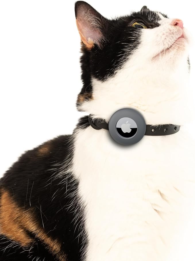 Airtag Cat Collar - Soft, Comfortable, and Lightweight Breakaway Collar with Air Tag GPS Tracker Holder for Outdoor Cats and Sensitive Skin Kittens by Nuvuq (6 ⅞" to 10 ¼", Black)