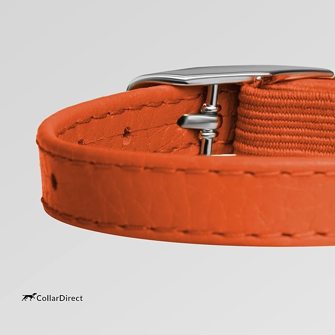 CollarDirect Leather Cat Collar, Cat Safety Collar with Elastic Strap, Kitten Collar for Cat with Bell Black Blue Red Orange Lime Green (Neck Fit 6&quot;-7&quot;, Orange)