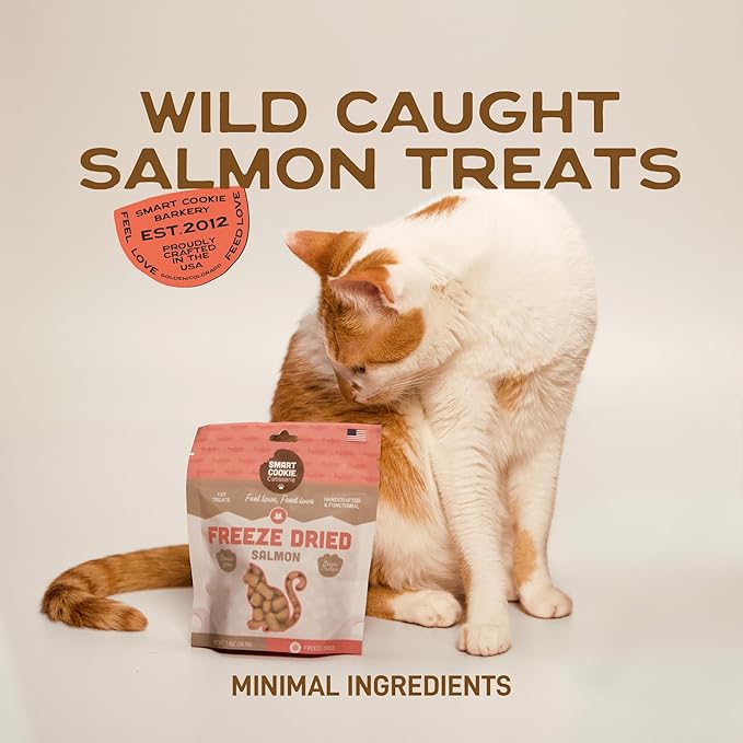 Smart Cookie Salmon Freeze Dried Cat Treats – Minimal Ingredient, High-Protein Snacks for Picky Cats – Wild Caught Salmon, No Fillers, Made in The USA – 1oz