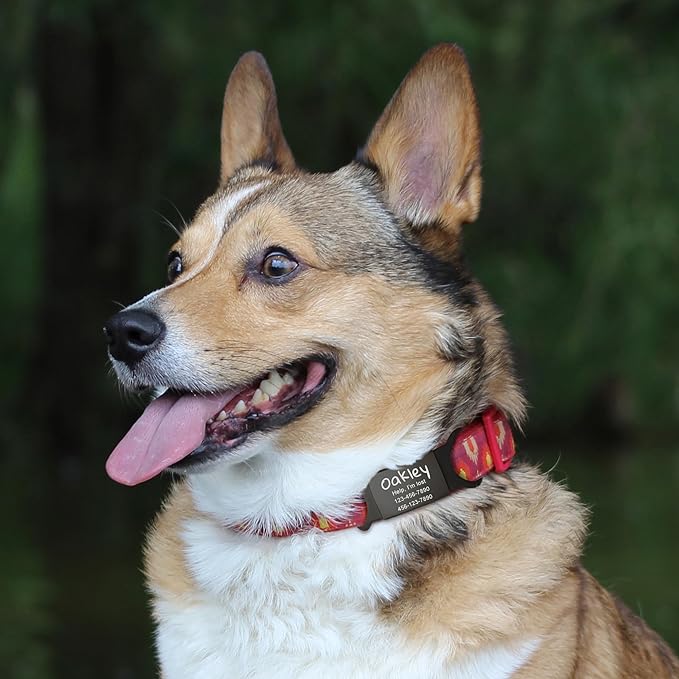 Anavia Slide On Silent Pet ID Tags, S/M/L/XL Personalized Black Stainless Steel Colored Silicone Cat Dog Name Tag, Customized Engraved Nameplate, Quiet Chew-Proof Pet Collar Tag (Red, X-Large)