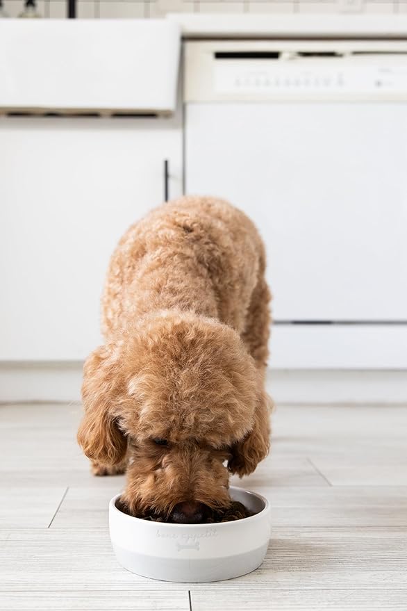 Pearhead Ceramic Bone Appétit Dog Bowl, Holds 2 Cups, Stoneware Food and Water Dish, Microwave and Dishwasher Safe, Small/Medium