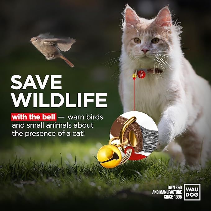 WAUDOG Ultra Soft Rolled Leather Cat Collar with Removable Bell, Safety Elastic Strap and QR ID Tag - Soft Padded for Small, Medium, and Large Cats - Round Kitten Collar for Male and Female Cats