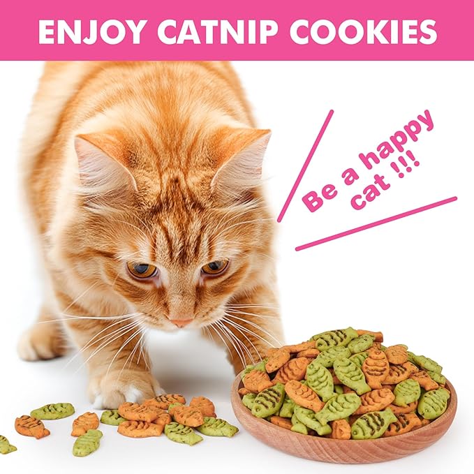 Catnip Cat Treats, Chicken and Salmon Flavor Snacks, Training Crunchy Fish Shape Adult Cat Biscuits, 30 oz
