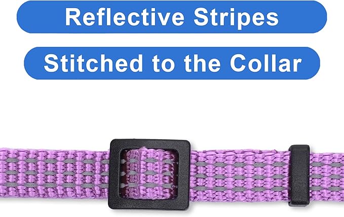Pawtitas Reflective Purple Cat Collar with Safety Buckle and Removable Bell for Kitten and Cats Orchid