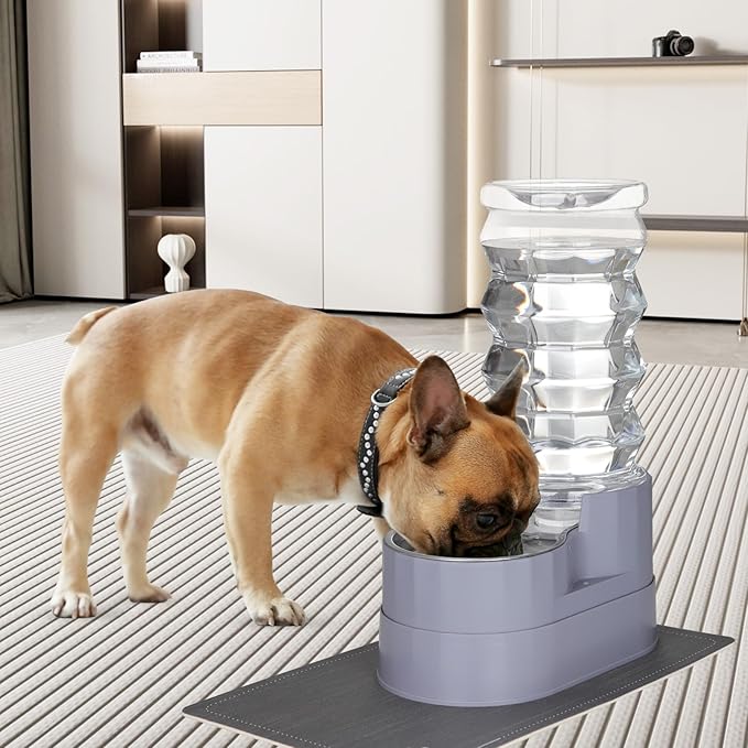 RIZZARI Large Water Dispenser for Dogs: 8L Gravity Gray Automatic Stainless Steel Waterer with Specialized Brush and Triple Filter - Raised Pet Feeder for Senior Dogs with Joint Pain in Bedroom Garden