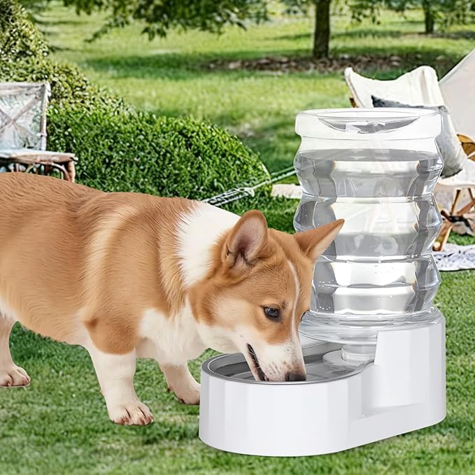 RIZZARI Automatic Gravity Pet Waterer: 7L White Stainless Steel Water Dispenser - Large Capacity with Triple Filter and Specialized Brush for Senior Dogs with Spinal Issues - for Living Room Bedroom