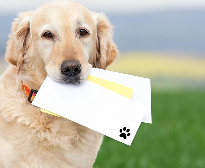 250 Paw Print Awareness Stickers - Fundraise for Animal Rights, Stop Abuse, Perfect for Pet Lovers, Businesses, Clinics, Labels, Scrapbooks