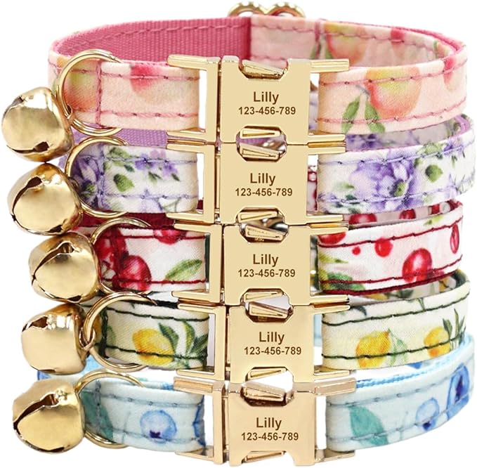 Personalized Cat Collar with Engraved Name Phone Number for Boy and Girl Kittens (Fruit)