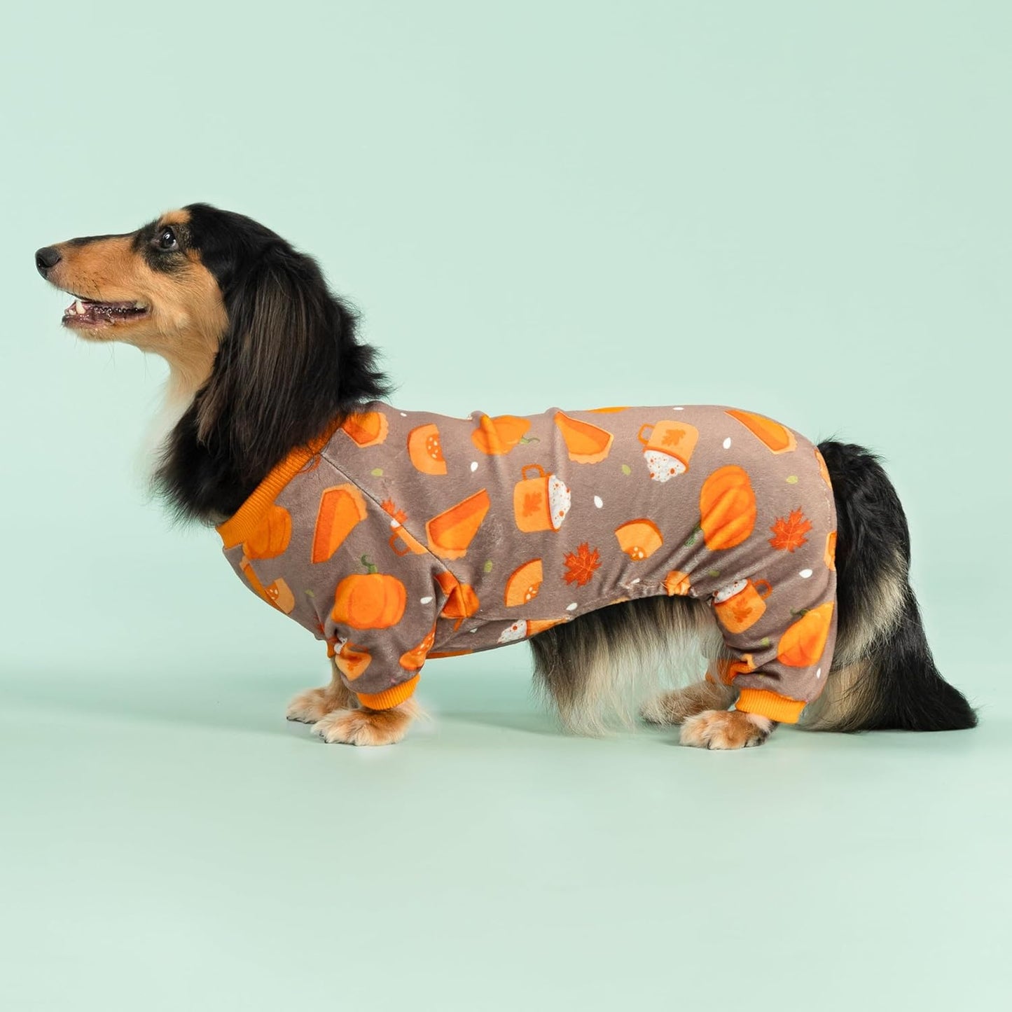 Fitwarm Pumpkin Dog Pajamas, Thanksgiving Outfit for Small Dogs Boy Girl, Pet Onesie, Brown, Orange, Medium