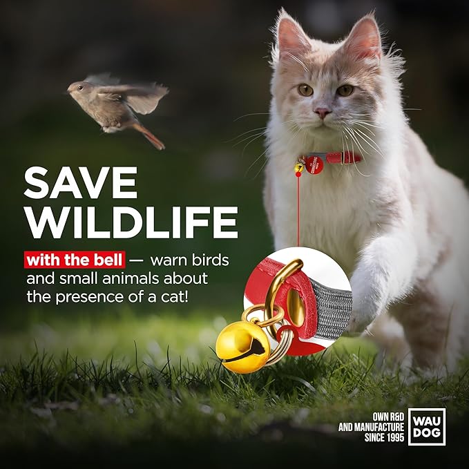 WAUDOG Ultra Soft Rolled Leather Cat Collar with Removable Bell, Safety Elastic Strap and QR ID Tag - Soft Padded for Small, Medium, and Large Cats - Round Kitten Collar for Male and Female Cats