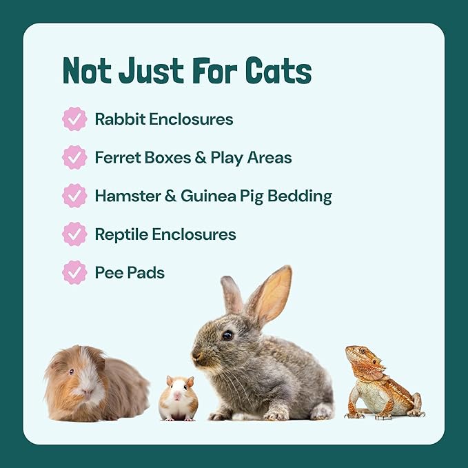 Sunny & Honey Cat Litter Deodorizer Spray - 32 fl oz, 1 Pack, Unscented - Source-Targeted Freshness & Litter Box Cleaner - Enzyme Cat Pee Cleaner - Fragrance-Free Deodorizer