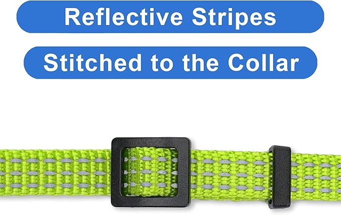 Pawtitas Reflective Green Cat Collar with Safety Buckle and Removable Bell for Kitten and Cats
