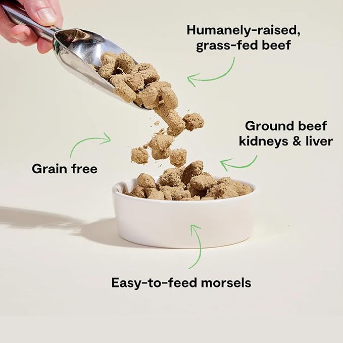 Open Farm Freeze Dried Raw Dog Food, Humanely Raised Meat Recipe with Non-GMO Superfoods and No Artificial Flavors or Preservatives (3.5 Ounce (Pack of 1), Grass Fed Beef Recipe)