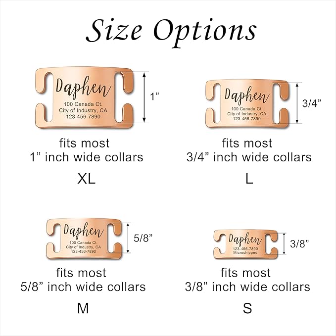 Anavia Slide On Silent Pet ID Tags, S/M/L/XL Personalized Gold Black Stainless Steel Customized Engraved Cat Dog Name Tags, Glossy Finish Chew-Proof Quiet Dog Collar Tag (X-Large, Silver)