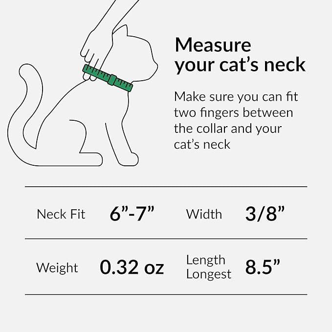 CollarDirect Leather Cat Collar, Cat Safety Collar with Elastic Strap, Kitten Collar for Cat with Bell Black Blue Red Orange Lime Green (Neck Fit 6&quot;-7&quot;, Orange)