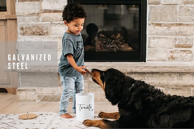 White Dog and Cat Treat Container with Easy to Open Bamboo Lid, 98 oz/12 cups