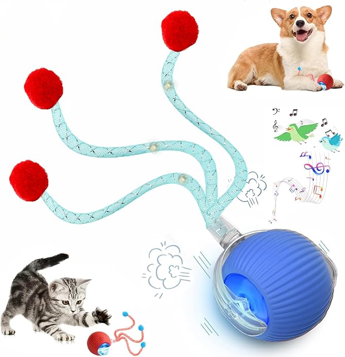 Speed 2.0 Tail Interactive Cat Toys for Indoor Cats, Chirping & Motion Activate Cat Toy, Smart Kitten Rolling Ball Moving Ball Toys, Rechargeable Dog Cat Bal l for Enrichment Exercise (New Blue)