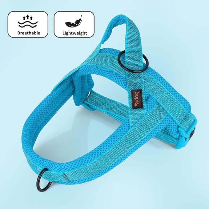 Didog No Pull Dog Harness with Breathable Mesh Padded, Full Reflective & Quick Fit Adjustable Vest Harness, Easy for Training Walking for Small & Medium and Large Dogs (Blue, M:Chest 21-26")