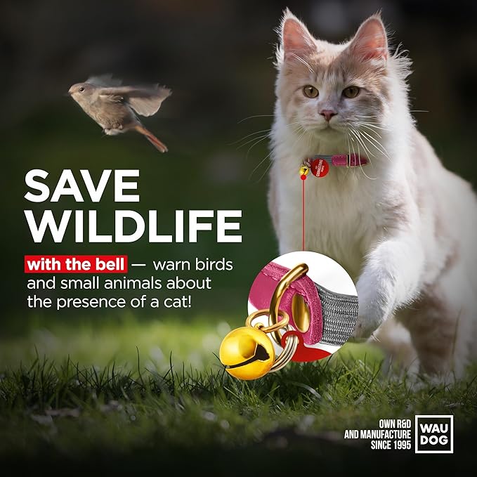 WAUDOG Ultra Soft Rolled Leather Cat Collar with Removable Bell, Safety Elastic Strap and QR ID Tag - Soft Padded for Small, Medium, and Large Cats - Round Kitten Collar for Male and Female Cats