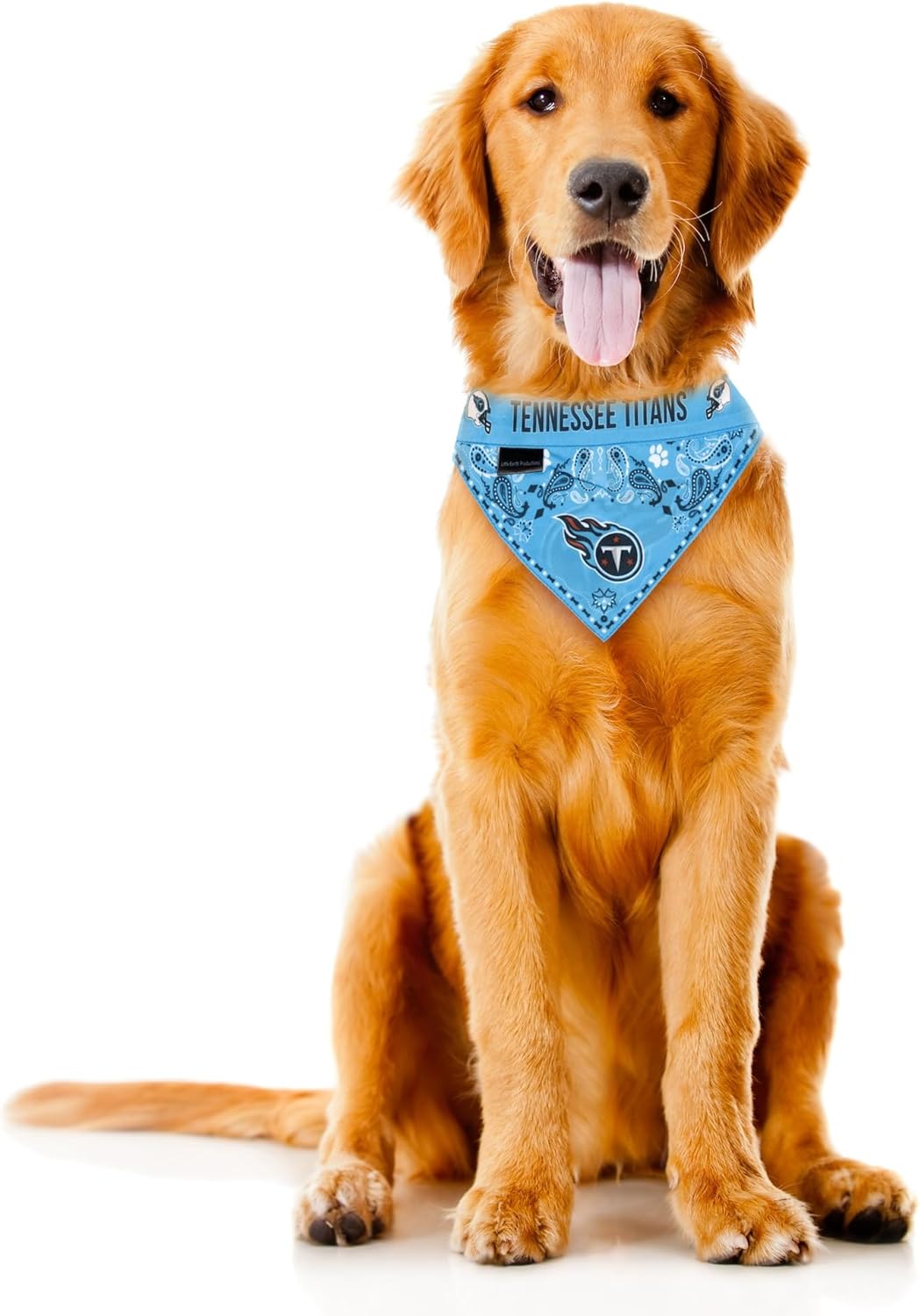 Littlearth NFL Pet Bandana - Reversible