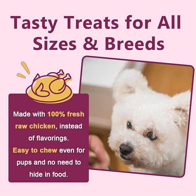 Probiotics for Dogs, Dog Probiotics for Digestive Health, 6 Billion CFU, with Prebiotics & Digestive Enzymes, Pumpkin & Omega-3, Dog Diarrhea Relief & Immune Support, Skin & Coat Care, 120 Soft Chews