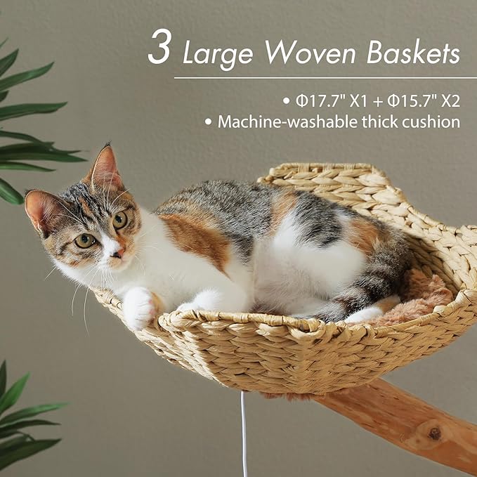 PAWZ Road Cat Tree for Indoor Cats Large Adults, 59 Inches Modern Cat Tower with 3 Large Baskets, Natural Solid Wood, Luxury Condo and Hammock, Modern Furniture for Big Cats, Brown