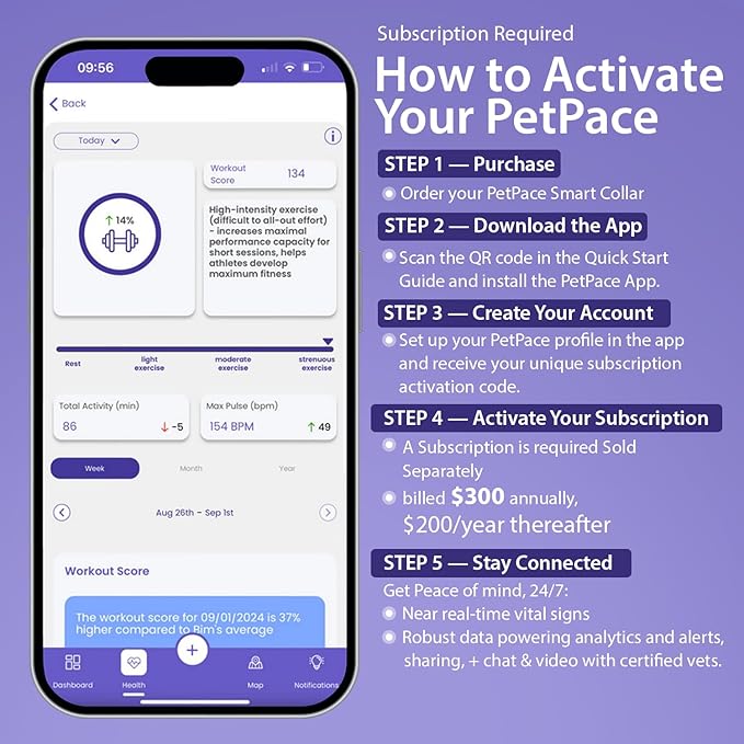 NEW Dog Health Monitor V3.0 by PetPace – AI Smart Collar with 24/7 Vital Signs, Pain & GPS Tracking, Telehealth AskaVet & Share With Your Vet, Smartwatch Sync – Subscription Required (Large)